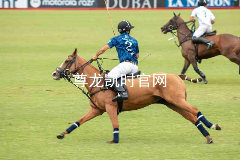 尊龙凯时官网