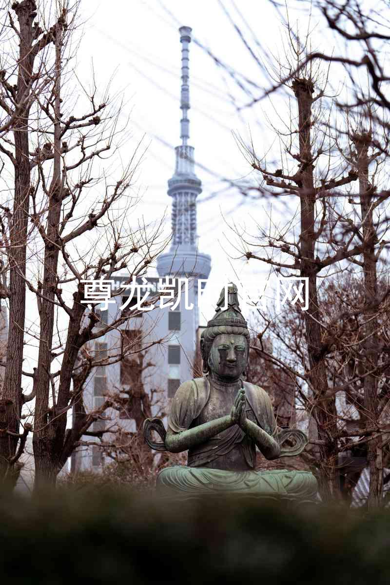 尊龙凯时官网