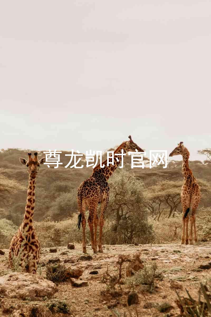 尊龙凯时官网